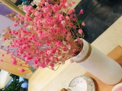 -觅屿日式脱毛美肤