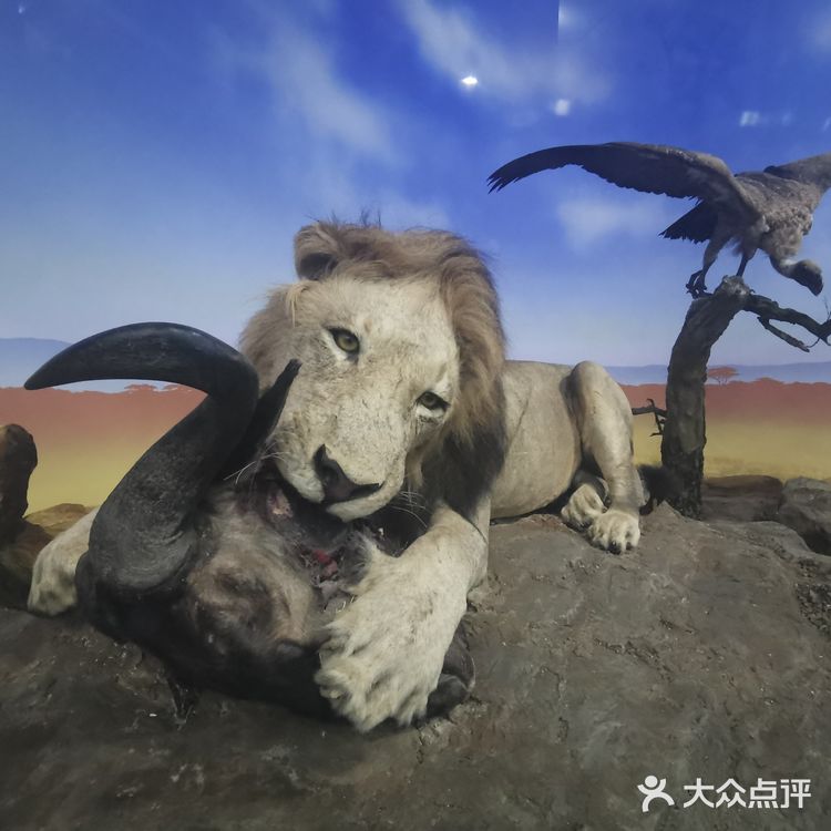 妈妈再也不用担心我五谷不分了