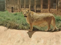 -昆明动物园
