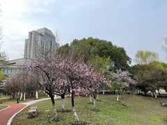 -江南大学(蠡湖校区)