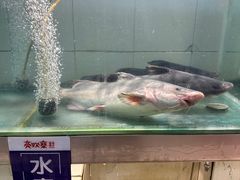 -亮欢寨酸汤鱼(沙冲路店)