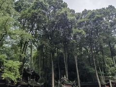 -青城山