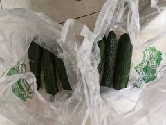 -晶宝温泉农庄