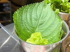 -炽城·烤肉名家(鸿达中央广场店)