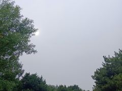 -朝阳公园游乐园