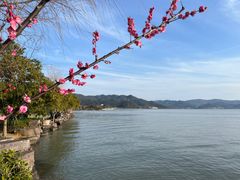 -东钱湖小普陀景区