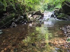 -江西阳明山国家森林公园