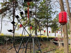 -合肥滨湖国家森林公园