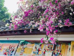 -深圳国际园林花卉博览园
