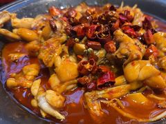 -美蛙四季(六里桥店)