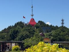 -王莽岭风景区
