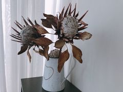 -HALF ORANGE 半个橙子