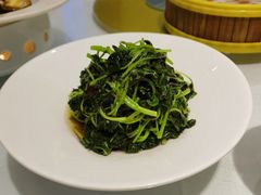 -席家花园(巨鹿花园店)
