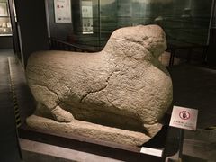 -仪征博物馆