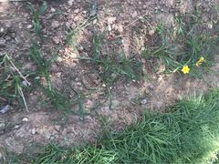 iphone_upload_pic-聚宝渔港.五钻酒家(上地店)