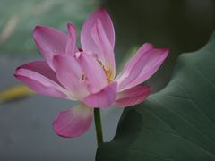 -陶然亭公园