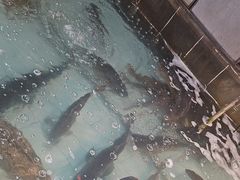 -鱼窝棚柴火铁锅炖(富山屯店)