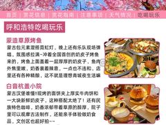 -乌素图国家森林公园