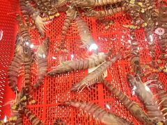 -聚福宝合苑食府(南头镇店)