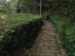 -清漾毛氏文化村