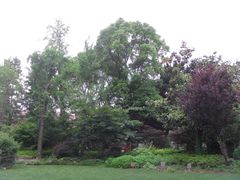 -上海瑞金洲际酒店