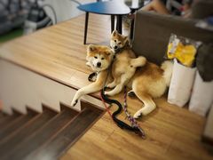 -YCHL Studios健身工作室(市二宫店)