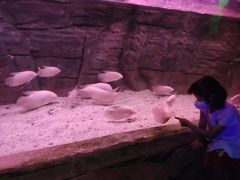 -蓬莱欧乐堡海洋极地世界