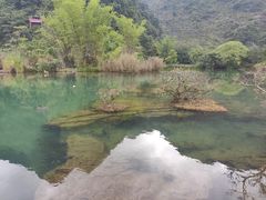 -靖西鹅泉风景区