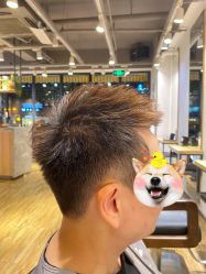-曼都发型