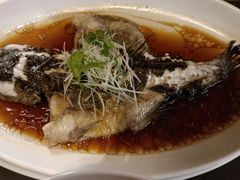 -玄武苏宁诺富特酒店·紫金轩中餐厅