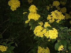 -南宁南湖公园