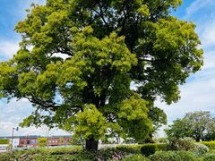 -横滨红砖仓库1号馆