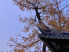 -光孝寺