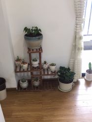 -苗苗清肤皮肤护理中心