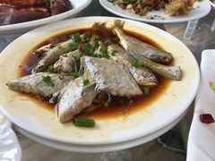 -阳光海鲜大排档