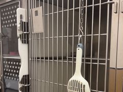 -瑞派康怡24h宠物医院·犬猫医疗中心·微创绝育(瑞景分院)