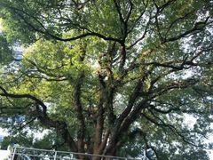-福建师范大学(仓山校区)