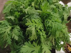 -蜀中吴养生板栗鸡(会展店)