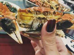 -军山湖云水间生态农业旅游景区