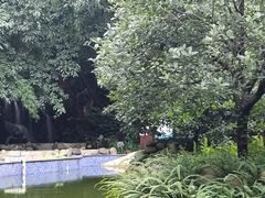 -灵秀温泉