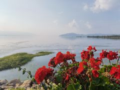 -野菌皇海景野生菌火锅(滨海大道店)