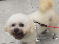 -安安宠医宠物医院·异宠·犬猫内科(岳阳分院)