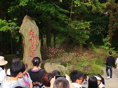 -庐山风景区花径公园