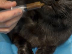 -美迦爱-牙专科·兔科·骨科诊疗中心(北苑店)