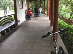 -重庆彩云湖湿地公园