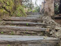 -南窖乡水峪村山情农家