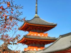 -有栖山 清光院 清水寺