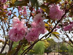 -申隆生态园-上海东方金融小镇