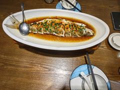 -洞庭渔人(沙湾店)