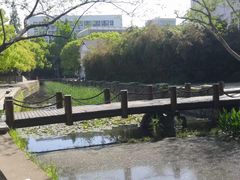 -同济大学本部学苑饮食广场